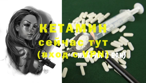 стаф Волосово