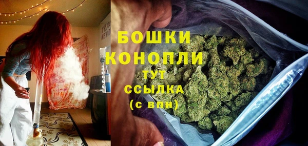стаф Волосово