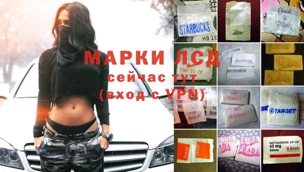 стаф Волосово