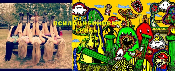 дмт Володарск