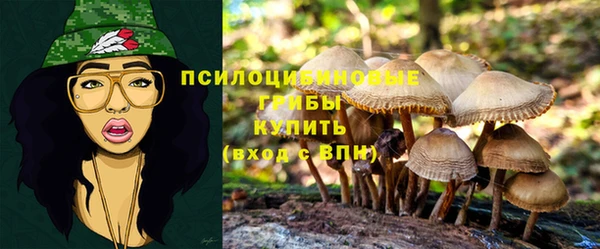 СК Волоколамск