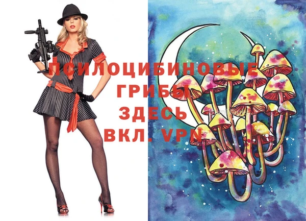 дмт Володарск